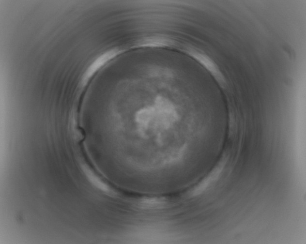 X0000115580850200911101146