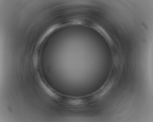 X0000115580851200911101146