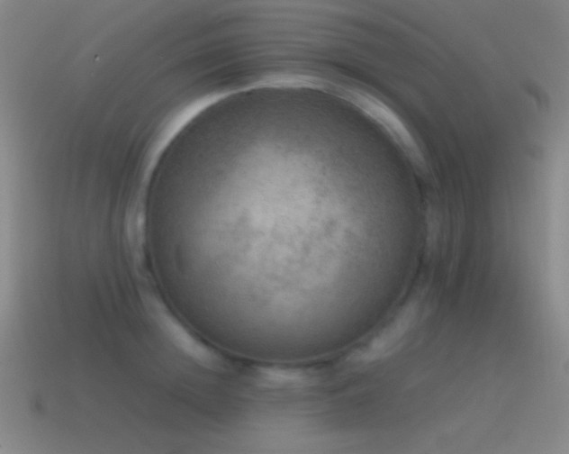 X0000115580852200911101146