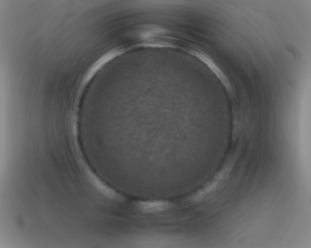 X0000115580853200911101146