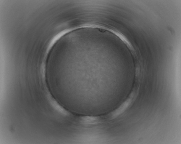 X0000115580854200911101146