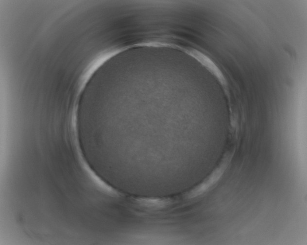 X0000115580855200911101146