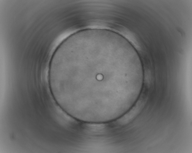 X0000115580856200911101146