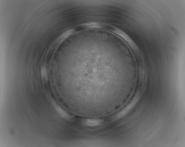 X0000115580857200911101146