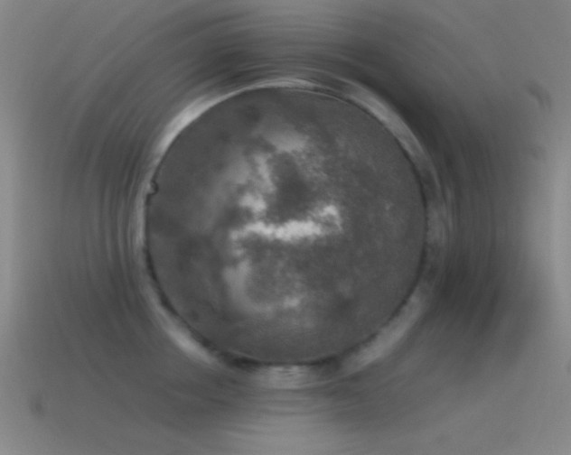 X0000115580858200911101146