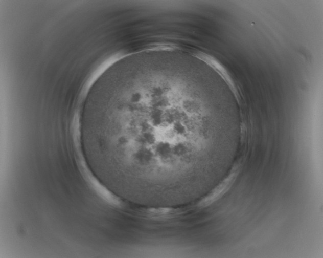 X0000115580859200911101146