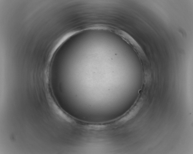 X0000115580860200911101146