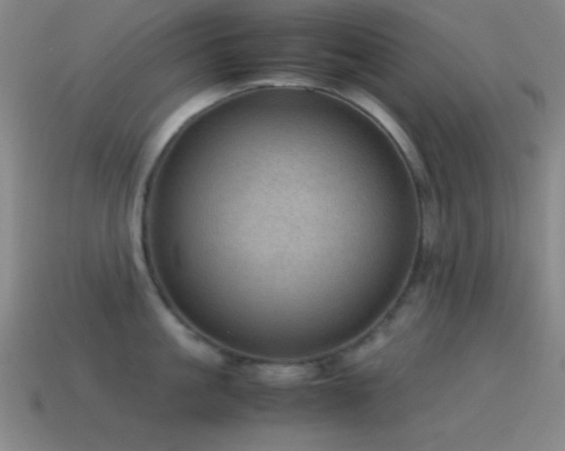 X0000115580861200911101146