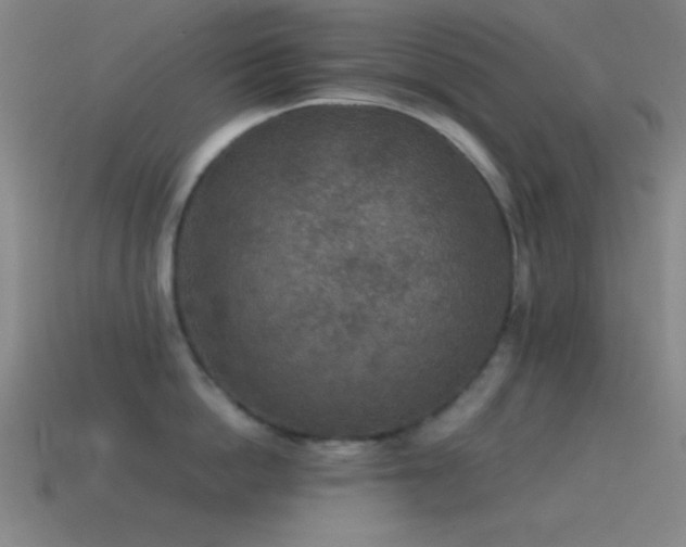 X0000115580862200911101146