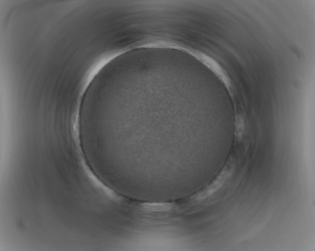 X0000115580863200911101146