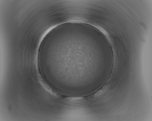 X0000115580864200911101146