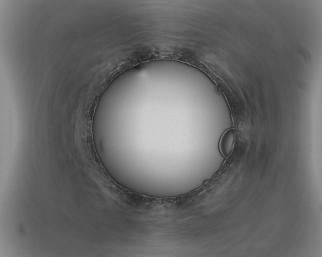 X0000115580865200911101146