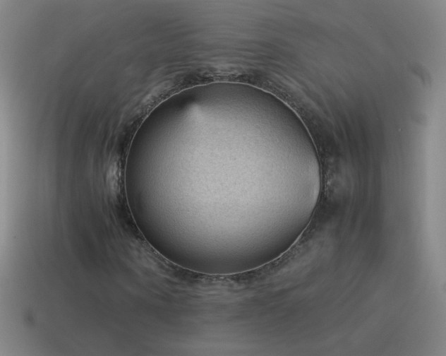 X0000115580866200911101146