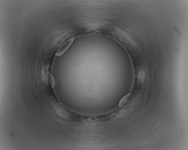 X0000115580868200911101146