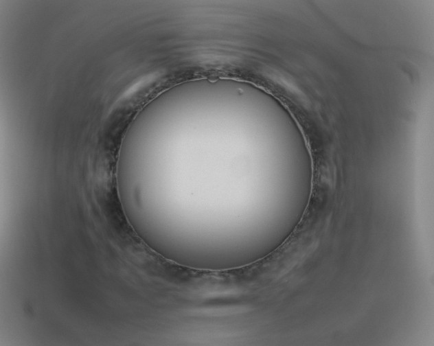 X0000115580869200911101146