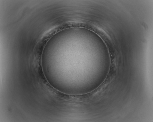 X0000115580870200911101146