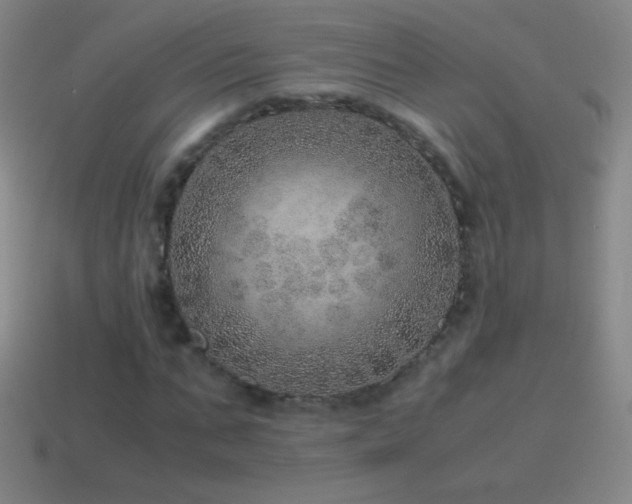 X0000115580871200911101146