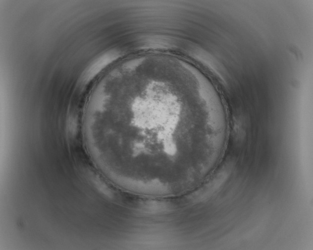 X0000115580874200911101146