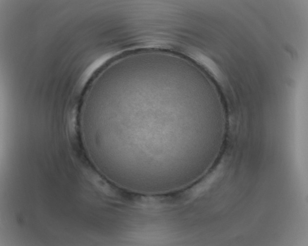 X0000115580875200911101146