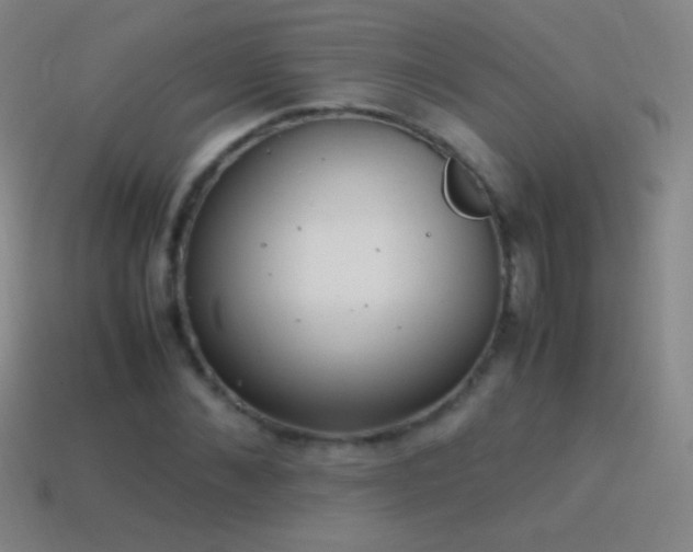 X0000115580876200911101146