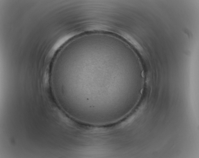 X0000115580877200911101146