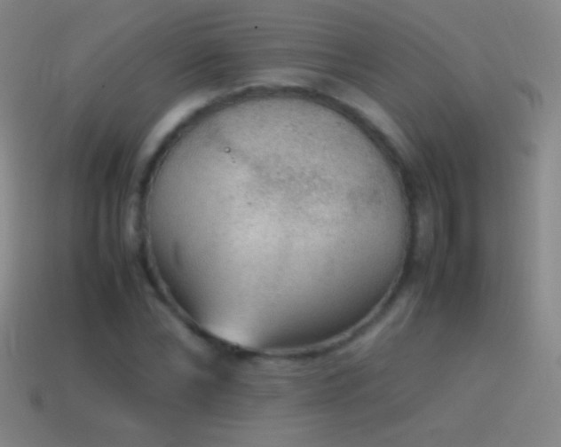 X0000115580878200911101146