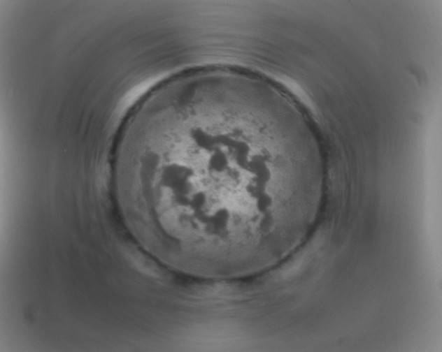 X0000115580879200911101146