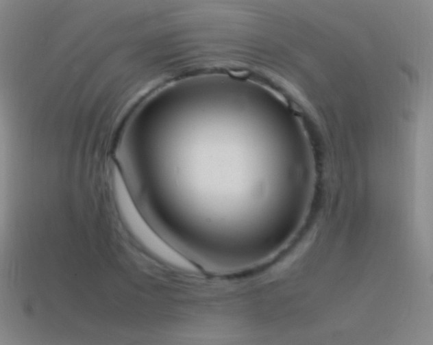 X0000115580881200911101145