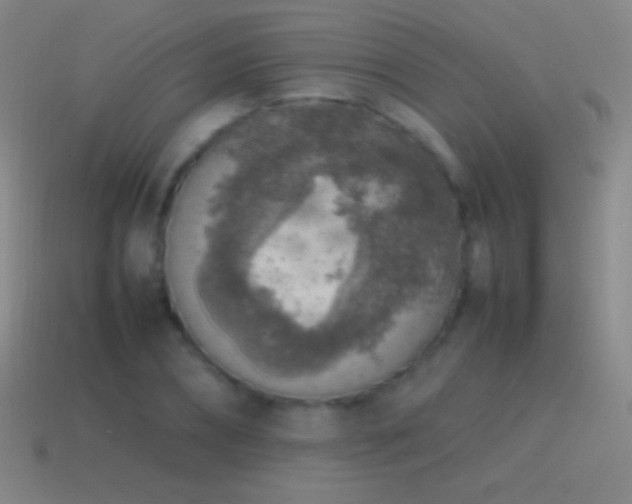 X0000115580882200911101145