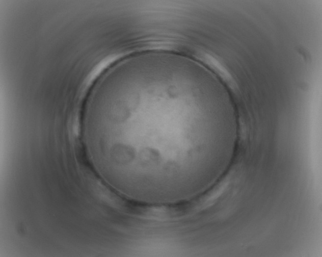 X0000115580883200911101145