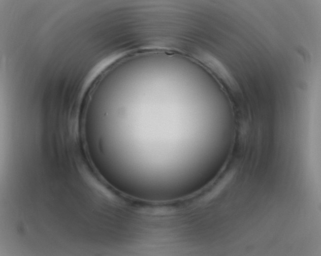 X0000115580884200911101145