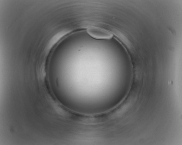 X0000115580885200911101145