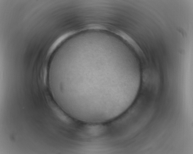 X0000115580886200911101145