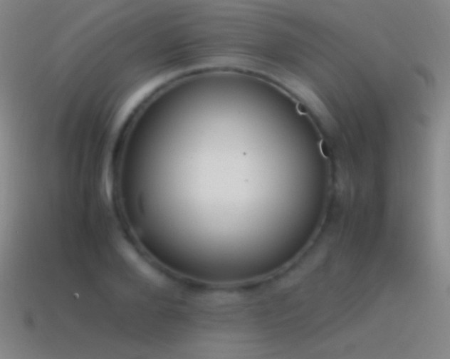 X0000115580888200911101145