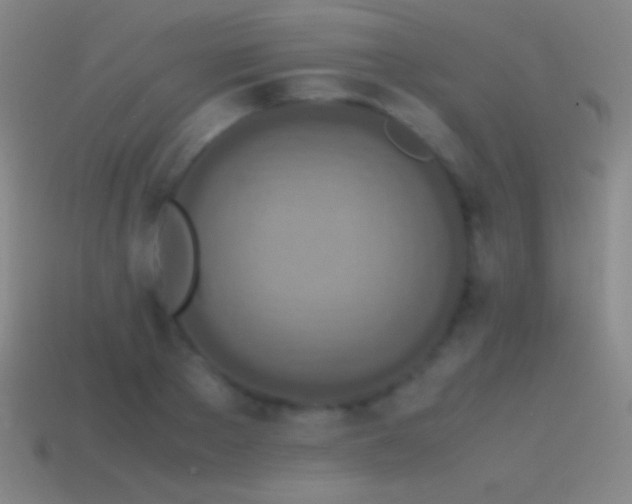 X0000115580889200911101145