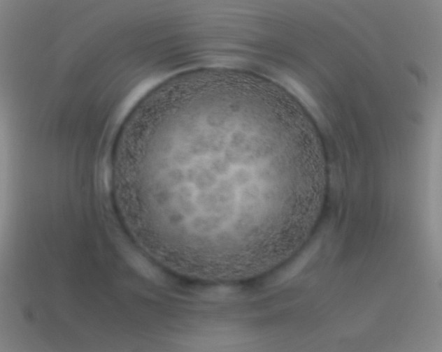 X0000115580891200911101145