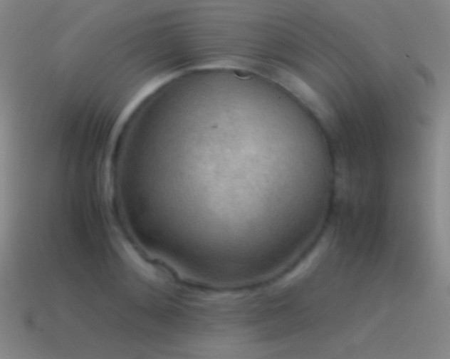 X0000115580892200911101145