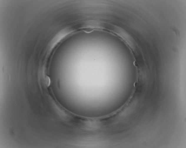 X0000115580893200911101145