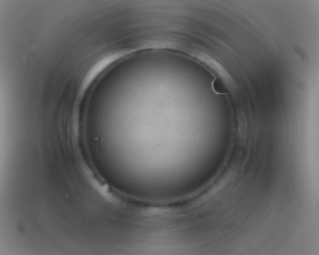 X0000115580894200911101145