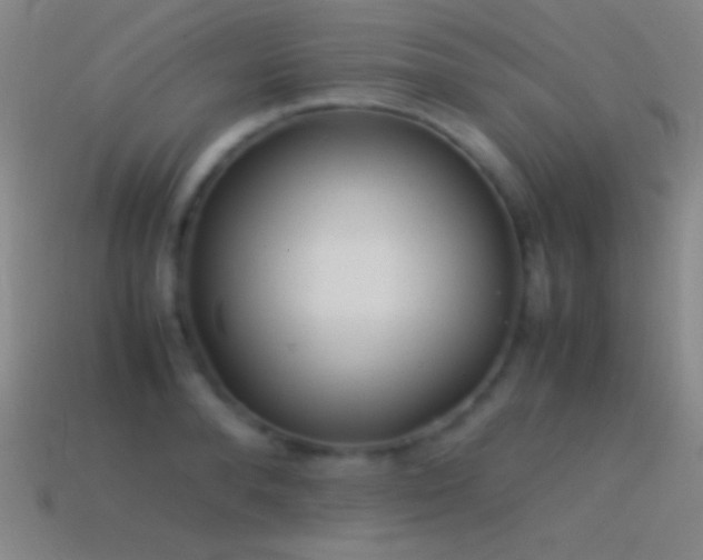 X0000115580896200911101145