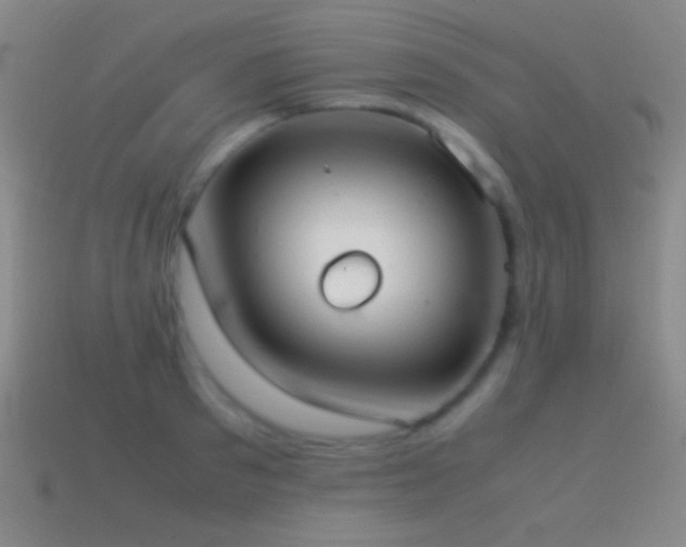 X0000115580897200911101145