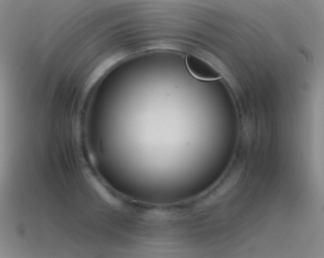 X0000115580898200911101145