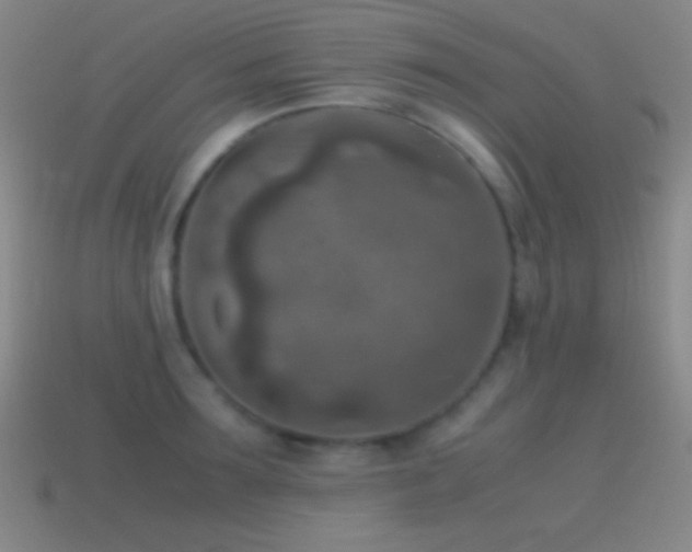 X0000115580899200911101145