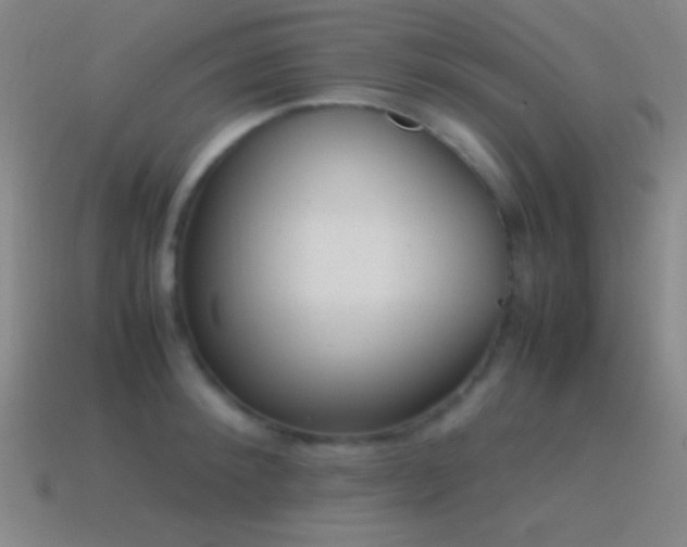 X0000115580900200911101145