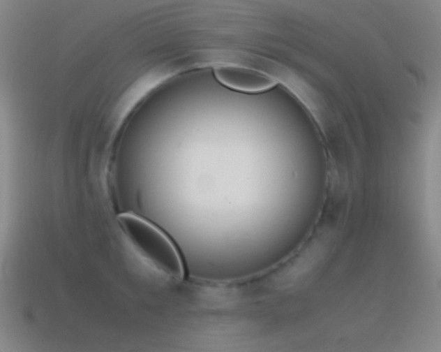 X0000115580901200911101145