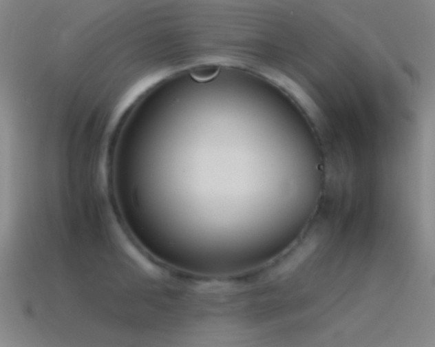 X0000115580902200911101145