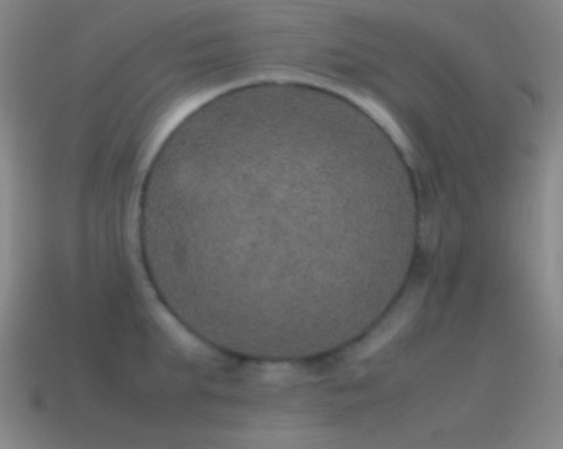 X0000115580903200911101145