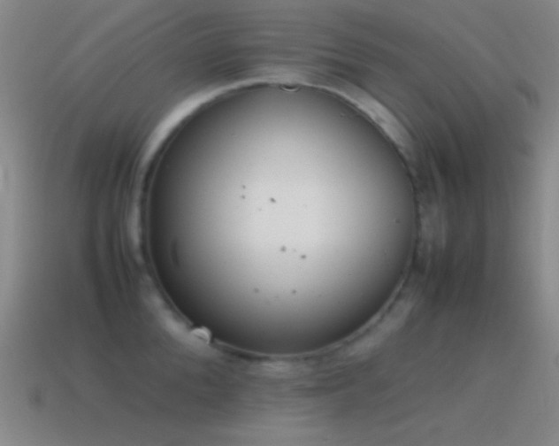 X0000115580904200911101145