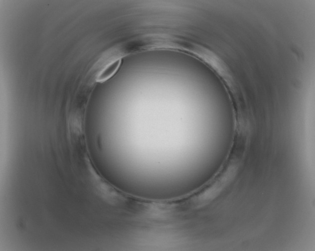 X0000115580905200911101145