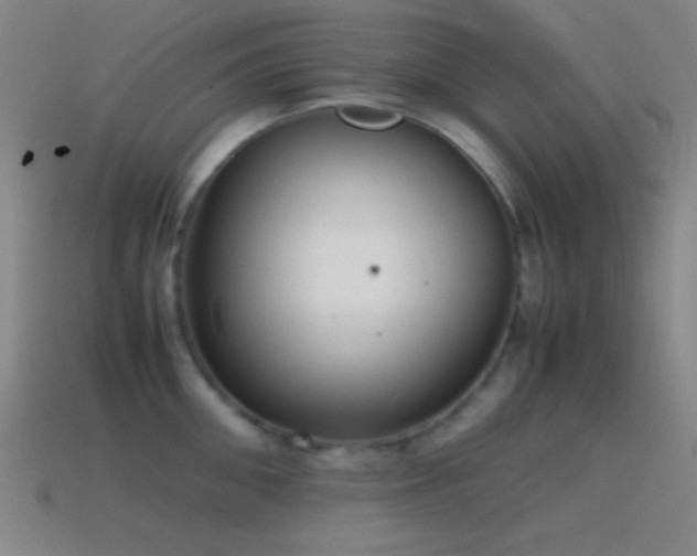 X0000115580906200911101145